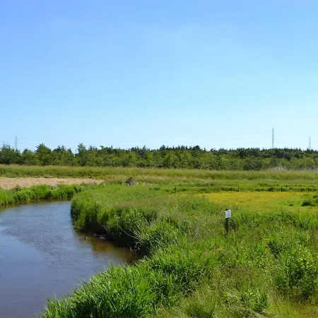Ahvo - 22km From The Sea In Western Jutland By Interhome * Bredebro
